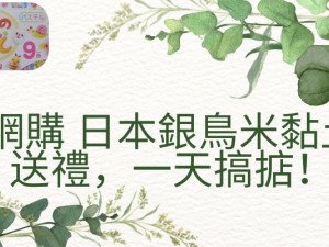 身在加拿大 網購香港日本銀鳥米黏土送禮 一天搞掂