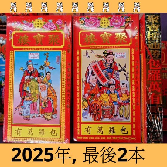 2025 Treasure House day-choosing lucky book image