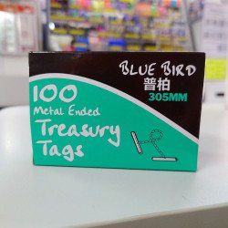 Green Treasury Tags with metal ended  305mm 12"