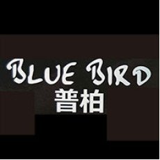 Blue Bird 普柏 image