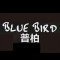 Blue Bird 普柏