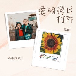 透明膠片打印服務